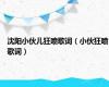 沈阳小伙儿狂喷歌词（小伙狂喷歌词）