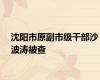 沈阳市原副市级干部沙波涛被查