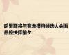 哈里斯将与竞选搭档候选人会面 最终抉择前夕