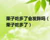 栗子吃多了会发胖吗（栗子吃多了）