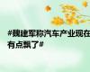 #魏建军称汽车产业现在有点飘了#