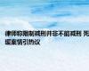 律师称限制减刑并非不能减刑 死缓案情引热议