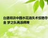台退将谈中国水花消失术惊艳夺金 梦之队再添辉煌