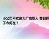 小公司不欢迎大厂离职人 昔日骄子今何在？