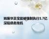 姚振华及宝能被强制执行1.7亿 深陷债务危机