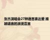 张杰演唱会27种语言表达爱 跨越语言的浪漫宣言