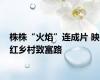 株株“火焰”连成片 映红乡村致富路