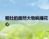 粗壮的庞然大物疯撞花心