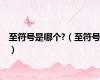 至符号是哪个?（至符号）