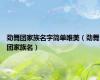 劲舞团家族名字简单唯美（劲舞团家族名）