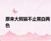 原来大熊猫不止黑白两色