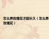 怎么养玫瑰花才能长久（怎么养玫瑰花）
