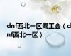 dnf西北一区蜀工会（dnf西北一区）