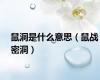 鼠洞是什么意思（鼠战密洞）