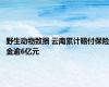 野生动物致损 云南累计赔付保险金逾6亿元