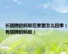 长翅膀的蚂蚁在家里怎么回事（有翅膀的蚂蚁）