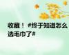 收藏！ #终于知道怎么选毛巾了#