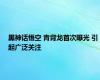 黑神话悟空 青背龙首次曝光 引起广泛关注