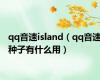 qq音速island（qq音速种子有什么用）