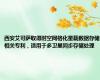 西安艾可萨取得时空网格化星载数据存储相关专利，适用于多卫星同步存储处理