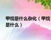 甲烷是什么杂化（甲烷是什么）