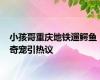 小孩哥重庆地铁遛鳄鱼 奇宠引热议