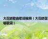 大花轿歌曲歌词视频（大花轿歪唱歌词）