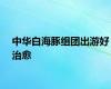 中华白海豚组团出游好治愈