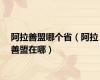 阿拉善盟哪个省（阿拉善盟在哪）