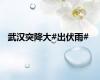 武汉突降大#出伏雨#