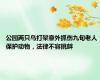 公园两只鸟打架意外抓伤九旬老人 保护动物，法律不容挑衅