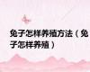兔子怎样养殖方法（兔子怎样养殖）