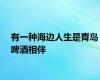 有一种海边人生是青岛啤酒相伴