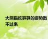 大熊猫吃笋笋的姿势数不过来