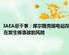 IAEA总干事：库尔斯克核电站存在发生核事故的风险