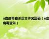 u盘病毒查杀后文件名乱码（u盘病毒查杀）