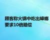 顾客称火锅中吃出蟑螂 要求10倍赔偿