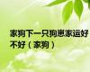家狗下一只狗崽家运好不好（家狗）