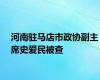 河南驻马店市政协副主席史爱民被查