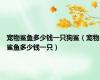 宠物鲨鱼多少钱一只狗鲨（宠物鲨鱼多少钱一只）