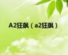 A2狂飙（a2狂飙）