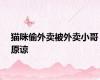 猫咪偷外卖被外卖小哥原谅
