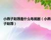 小燕子赵薇是什么电视剧（小燕子赵薇）
