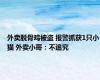 外卖脱骨鸡被盗 报警抓获1只小猫 外卖小哥：不追究