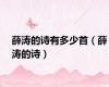 薛涛的诗有多少首（薛涛的诗）
