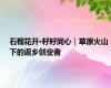 石榴花开·籽籽同心｜草原火山下的返乡创业者