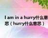 l am in a hurry什么意思（hurry什么意思）