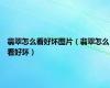 翡翠怎么看好坏图片（翡翠怎么看好坏）