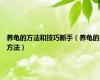 养龟的方法和技巧新手（养龟的方法）
