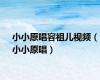 小小原唱容祖儿视频（小小原唱）